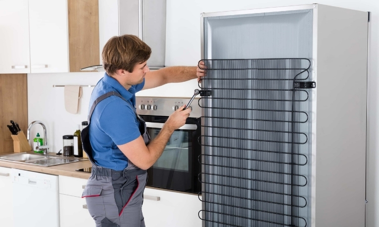 Dikili Buzdolabı Servisi